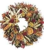images of Martha Stewart Bird Feeder Wreath