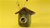 pictures of Bird Feeders Arts And Crafts pictures of Bird Feeders Arts And Crafts