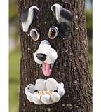 What Bird Feeders Do Birds Like photos What Bird Feeders Do Birds Like photos