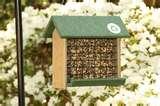 Bird Feeders Hd Bird Feeders Hd