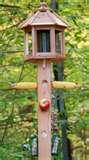High Quality Bird Feeders pictures High Quality Bird Feeders pictures