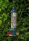 Bird Feeder Anti Squirrel Bird Feeder Anti Squirrel