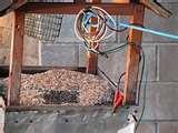 Bird Feeders Hd images Bird Feeders Hd images