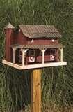 Bird Feeder Ecology pictures