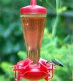 images of Humming Bird Feeder Syrup images of Humming Bird Feeder Syrup