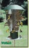 photos of Bird Feeder Anti Squirrel photos of Bird Feeder Anti Squirrel