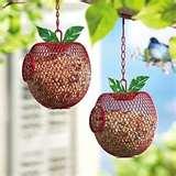 photos of Bird Feeders Apple Shaped