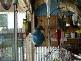 images of Bird Feeders Video images of Bird Feeders Video