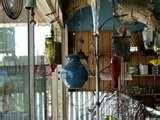 images of Bird Feeders Video