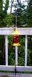 images of Humming Bird Feeder Syrup
