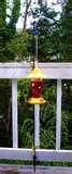 images of Humming Bird Feeder Syrup images of Humming Bird Feeder Syrup
