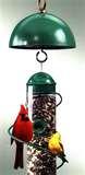 photos of Bird Feeder Anti Squirrel photos of Bird Feeder Anti Squirrel