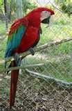 photos of What Bird Feeders Do Birds Like