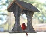 Bird Feeders Arts And Crafts photos Bird Feeders Arts And Crafts photos