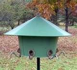 Bird Feeders No Birds photos Bird Feeders No Birds photos
