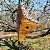 images of Bird Feeders Video images of Bird Feeders Video