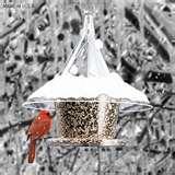 What Bird Feeders Do Birds Like pictures