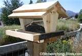 photos of Bird Feeder Types Hopper photos of Bird Feeder Types Hopper