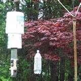 Bird Feeder Anti Squirrel photos Bird Feeder Anti Squirrel photos