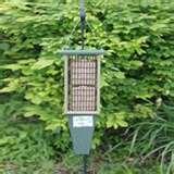 pictures of Bird Feeders Hd pictures of Bird Feeders Hd