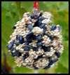 Bird Feeders Arts And Crafts photos Bird Feeders Arts And Crafts photos