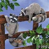 What Bird Feeders Do Birds Like pictures What Bird Feeders Do Birds Like pictures