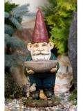 images of Bird Feeder Gnome