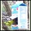 Bird Feeders Preschoolers Can Make photos Bird Feeders Preschoolers Can Make photos