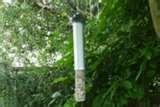 Bird Feeders 2l Bottle images