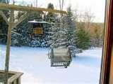 Squirrel Proof Bird Feeders Roller Squirrel Proof Bird Feeders Roller