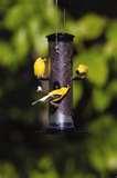 images of Bird Feeders Unlimited Store images of Bird Feeders Unlimited Store