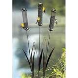 Bird Feeder Amazon photos Bird Feeder Amazon photos