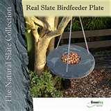 photos of Bird Feeder Round