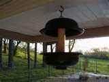 pictures of Bird Feeders From Old Dishes pictures of Bird Feeders From Old Dishes