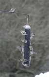 images of Bird Feeders New Brunswick images of Bird Feeders New Brunswick