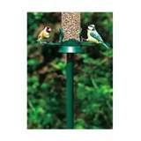 Bird Feeder Amazon photos