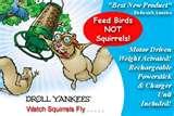 Bird Feeder Yankee Flipper Video photos Bird Feeder Yankee Flipper Video photos