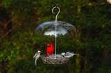 pictures of Bird Feeders Unlimited Store pictures of Bird Feeders Unlimited Store