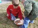 images of Bird Feeders Preschoolers Can Make images of Bird Feeders Preschoolers Can Make