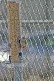 Bird Feeders Human Disease Bird Feeders Human Disease