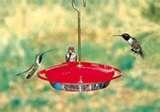 Bird Feeders Unlimited Store pictures Bird Feeders Unlimited Store pictures