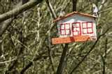 Bird Feeder At Target pictures Bird Feeder At Target pictures