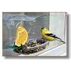 Bird Feeders 2l Bottle photos Bird Feeders 2l Bottle photos