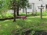 images of Bird Feeders New Brunswick images of Bird Feeders New Brunswick