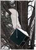 images of Squirrel Proof Bird Feeders Roller images of Squirrel Proof Bird Feeders Roller