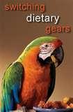 Bird Feeders Human Disease photos Bird Feeders Human Disease photos