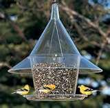 photos of Bird Feeder Hood