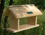pictures of Bird Feeders Squirrel-resistant pictures of Bird Feeders Squirrel-resistant