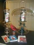 Bird Feeders Tiny Birds pictures Bird Feeders Tiny Birds pictures