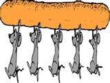 Bird Feeder Mice Bird Feeder Mice